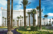  :  Hilton