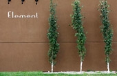 :  Element