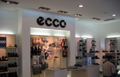  : Ecco-